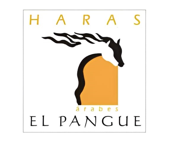 Viña López Pangue y Haras El Pangue